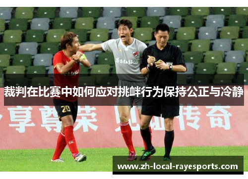裁判在比赛中如何应对挑衅行为保持公正与冷静