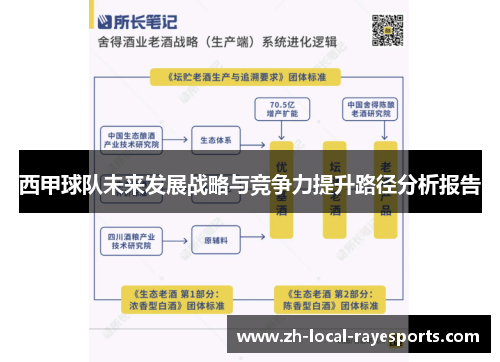 西甲球队未来发展战略与竞争力提升路径分析报告